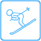 Лыжные виды спорта
